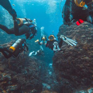 Divemaster Course