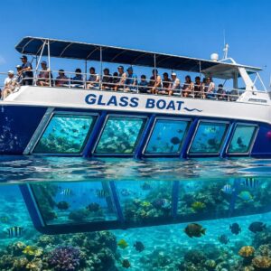 Glass boat Trip in Sharm El Sheikh