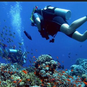 Tiran Island Diving Trip – Sharm El Sheikh