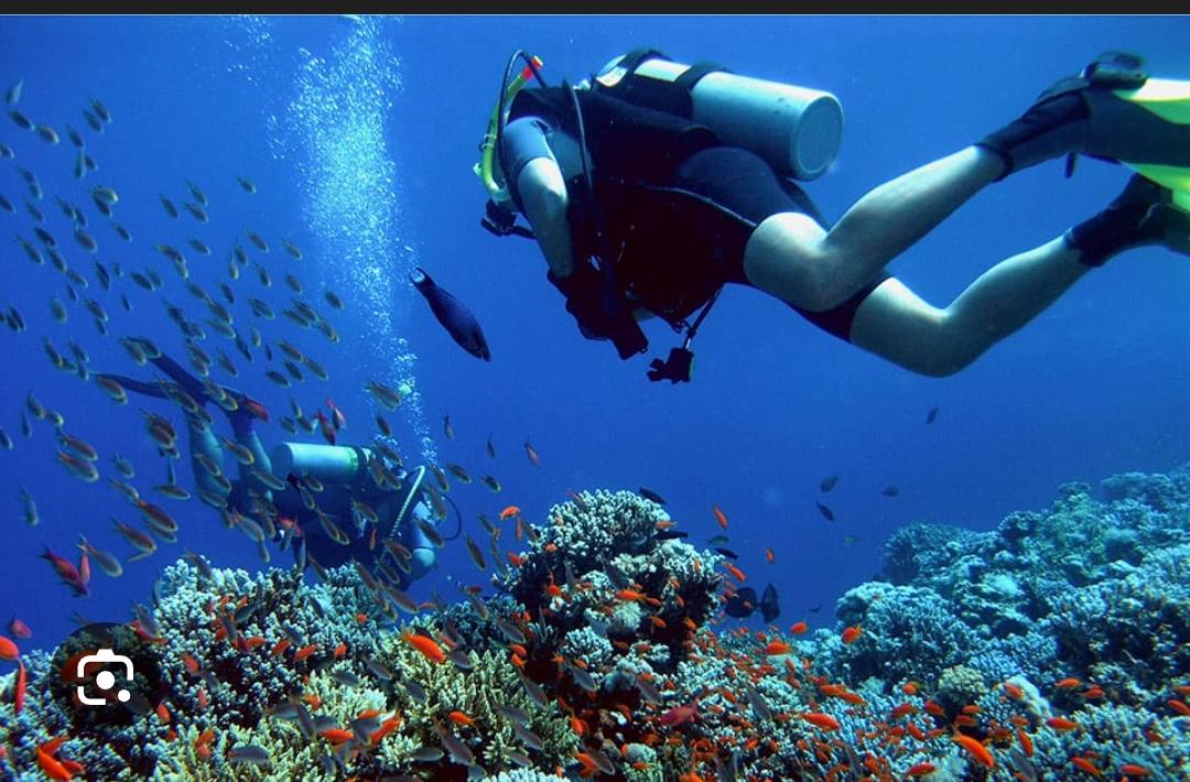 Open Water Diver Course